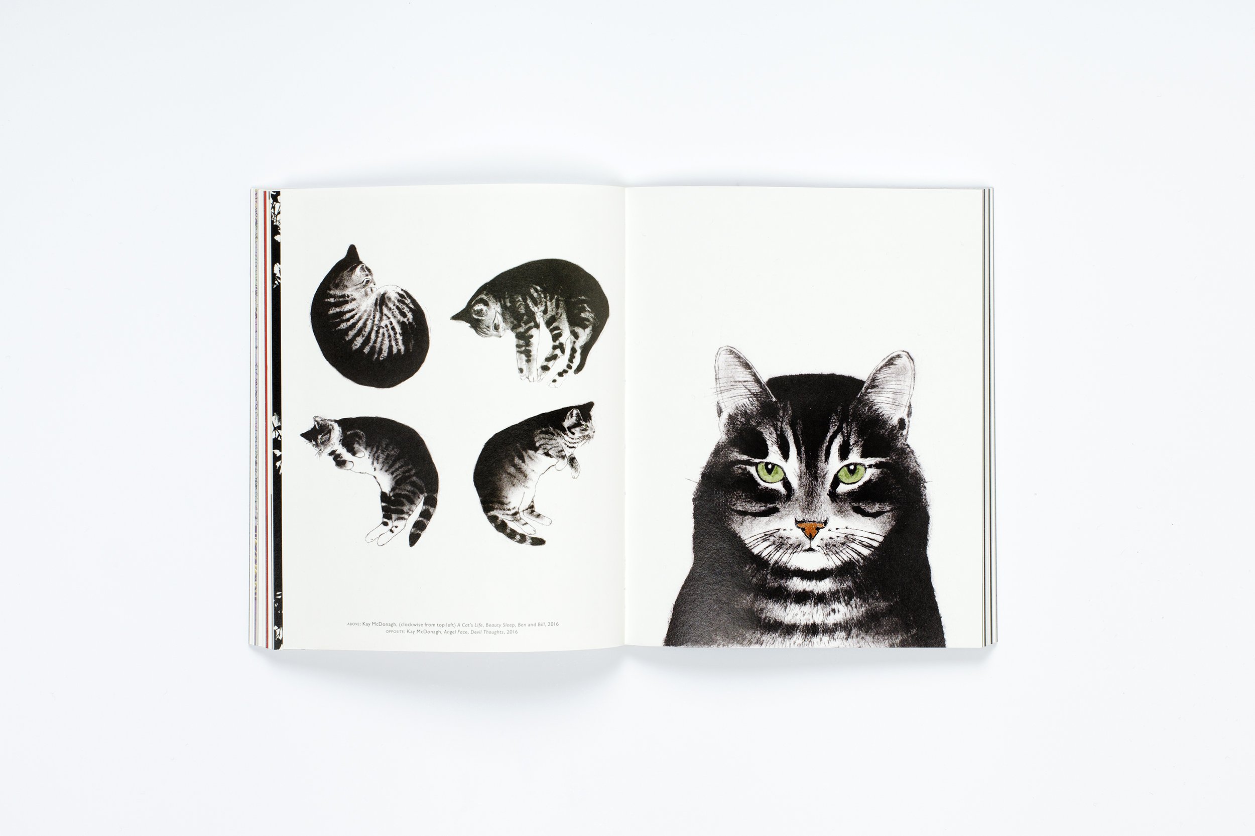 The Book of the Cat