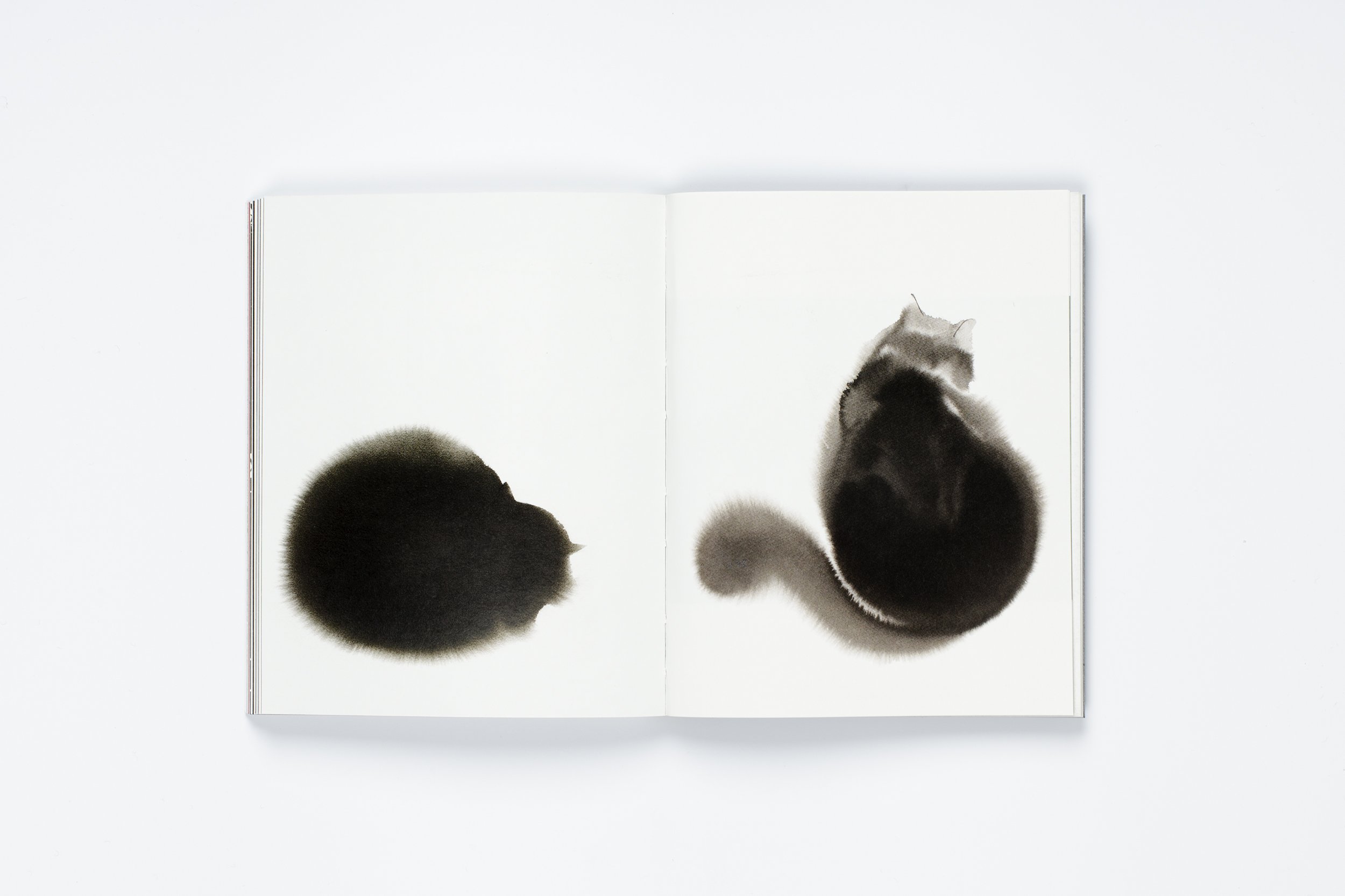 The Book of the Cat