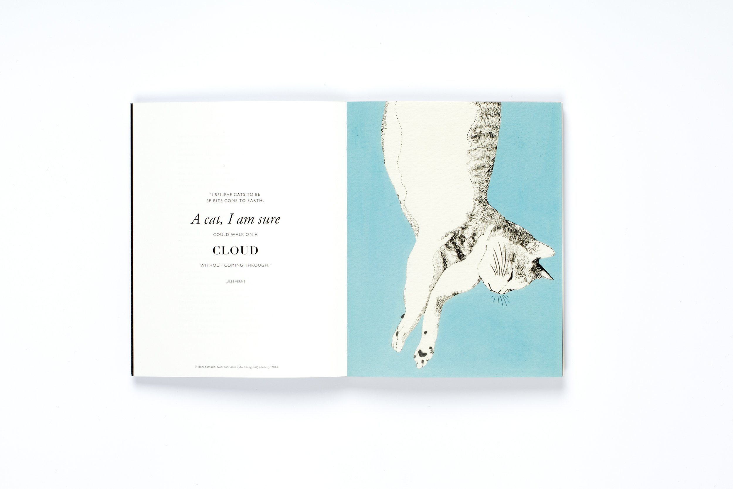 The Book of the Cat