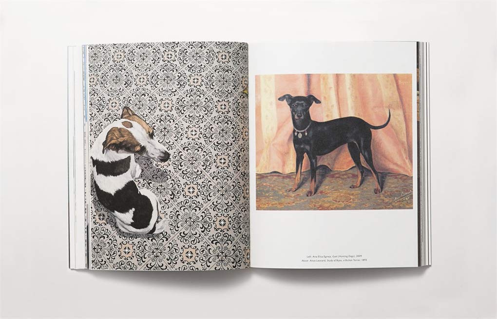 The Book of the Dog