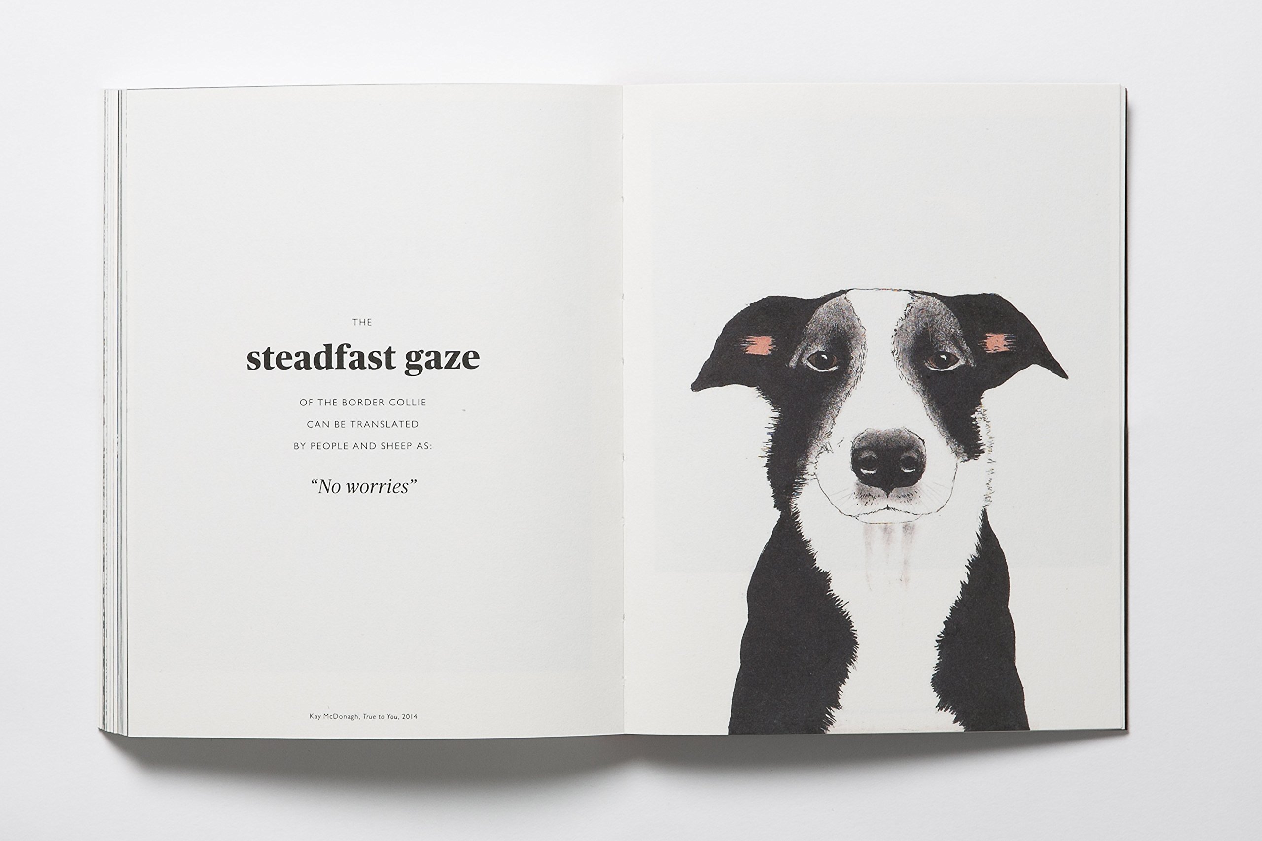 The Book of the Dog