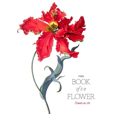 The Book of the Flower: Flowers in Art