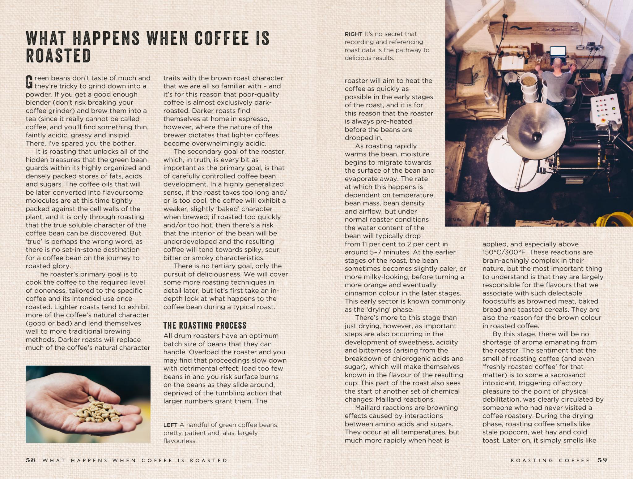 The Curious Barista’s Guide to Coffee