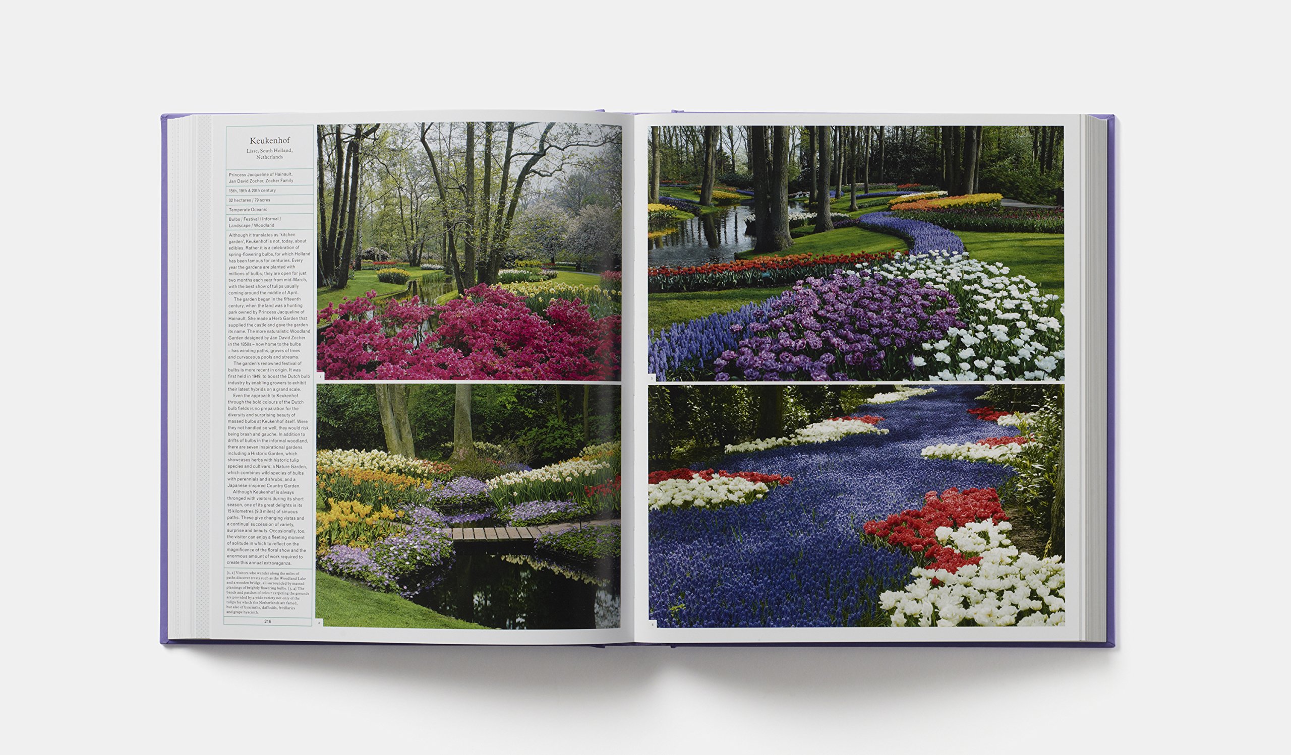 The Gardener's Garden
