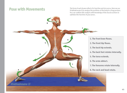 The Key Muscles of Yoga Scientific Keys Vol 1