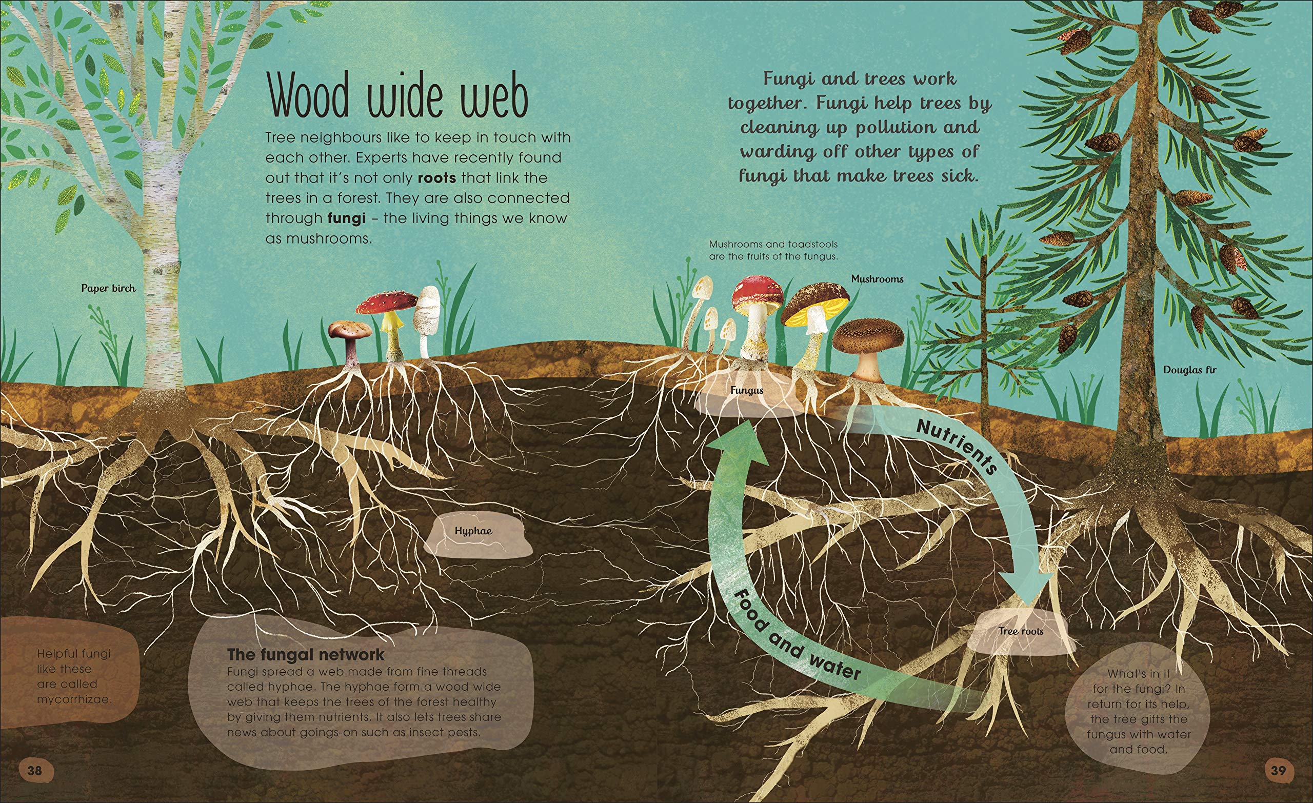 The Magic and Mystery of Trees