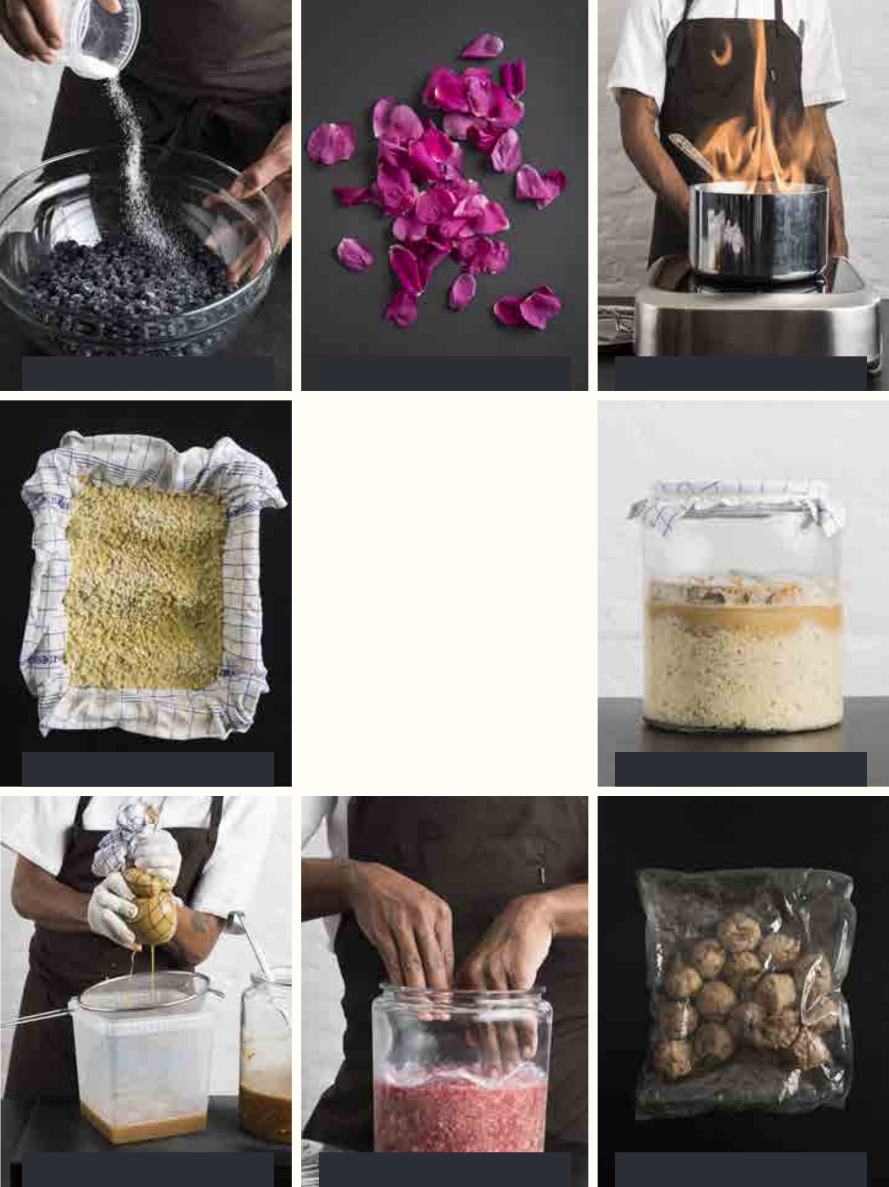 The Noma guide to fermentation