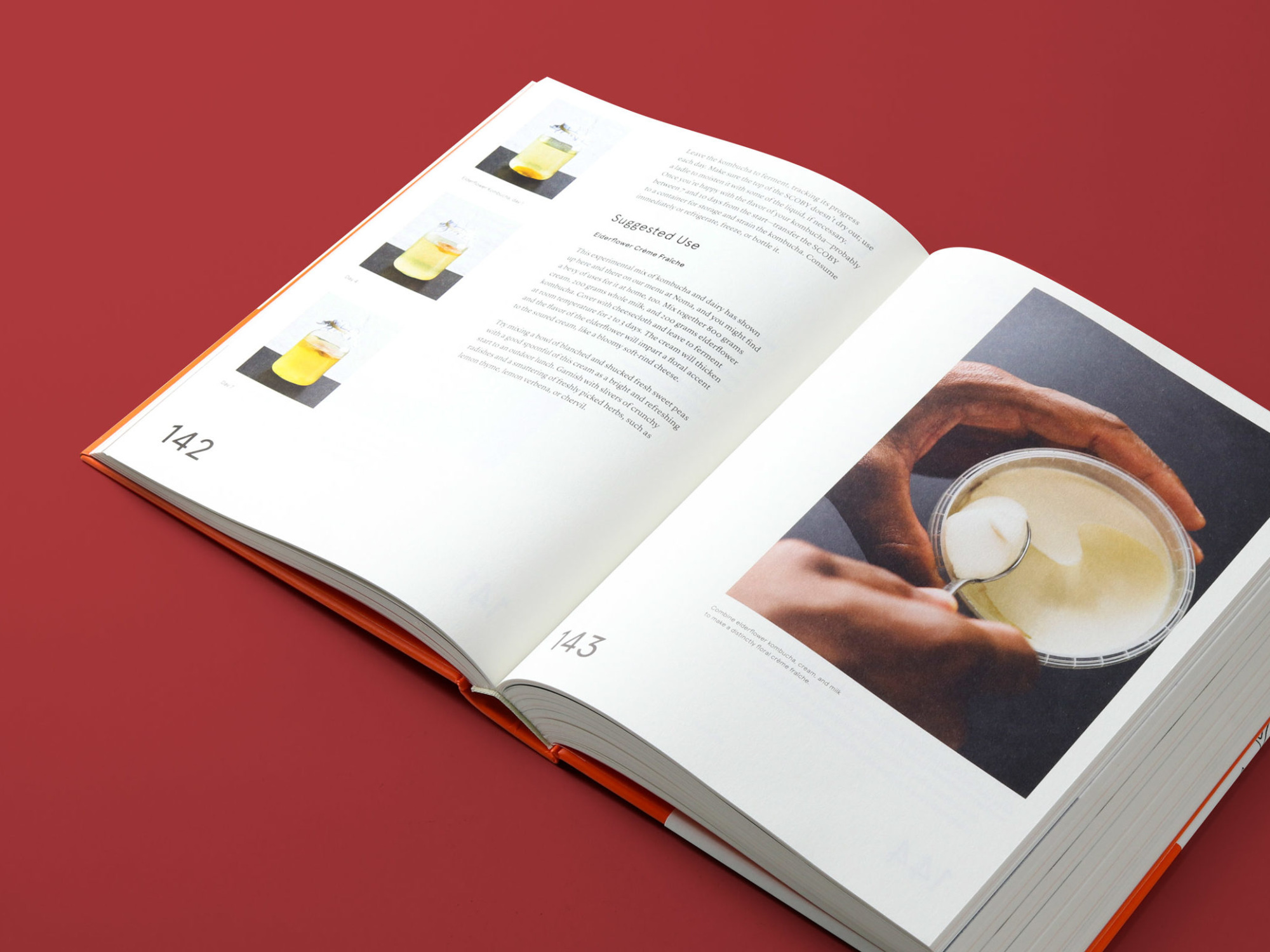The Noma guide to fermentation