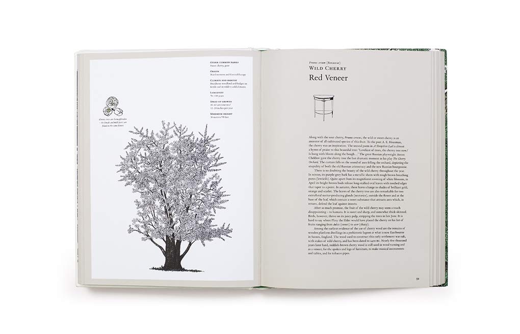 The Story of Trees