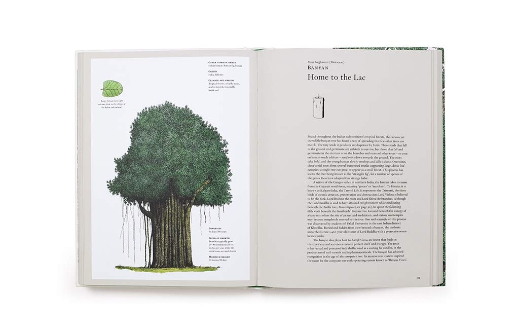 The Story of Trees