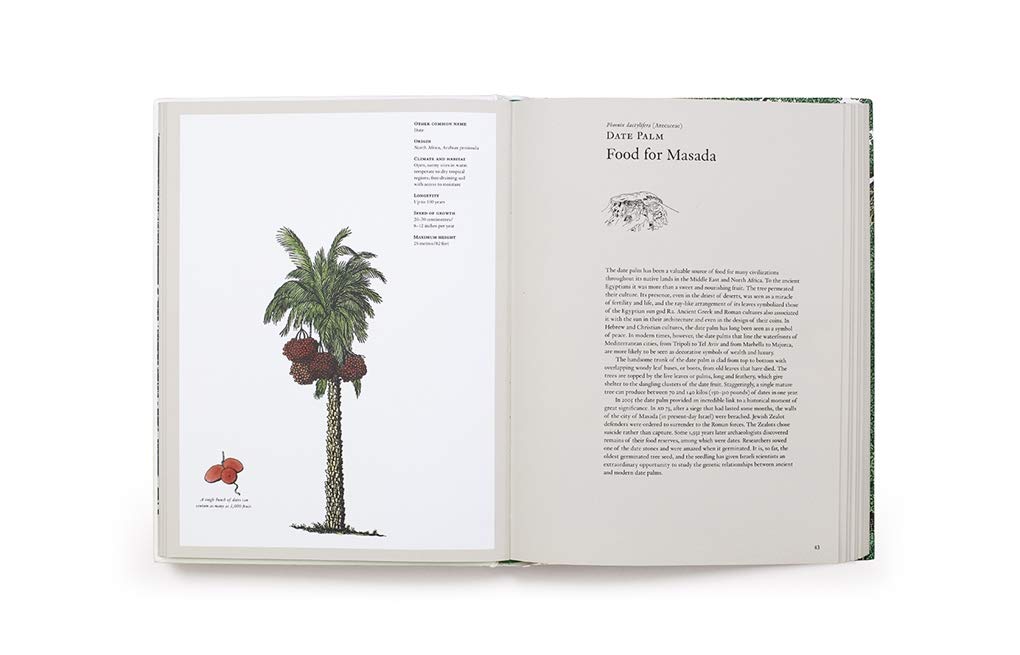 The Story of Trees
