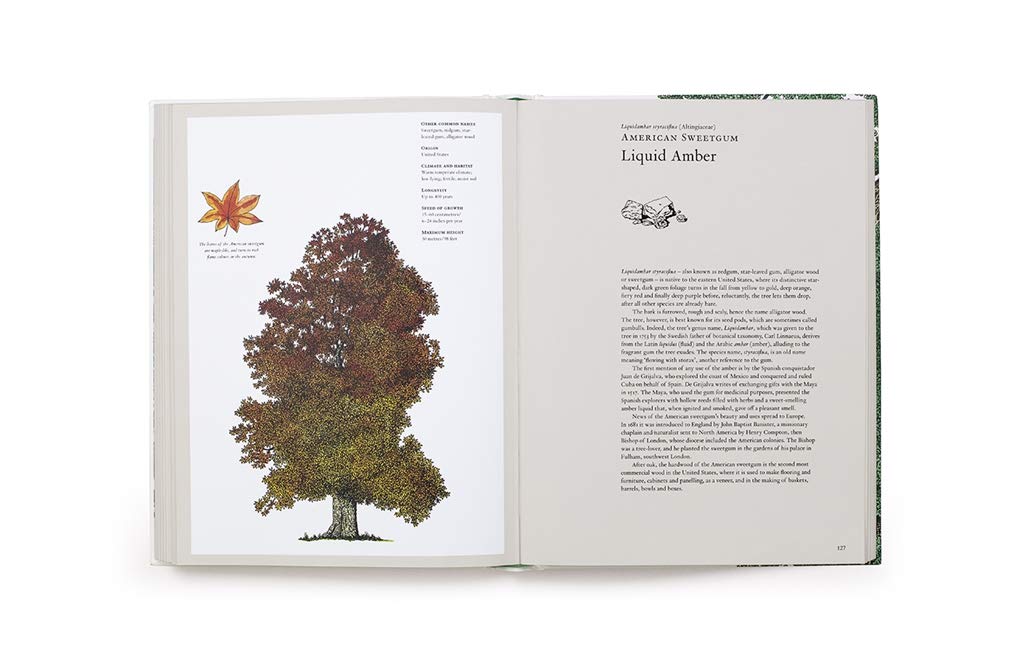 The Story of Trees