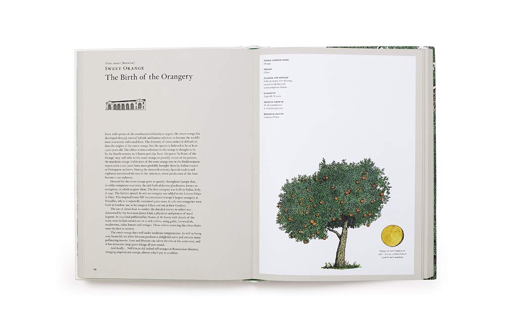 The Story of Trees