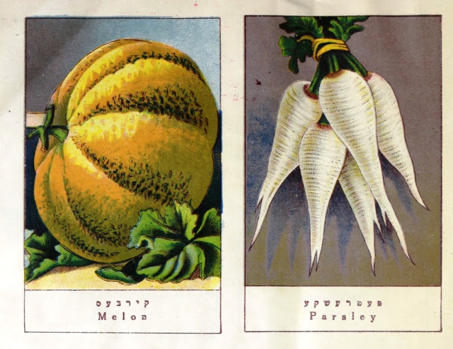 The Vilna Vegetarian Cookbook