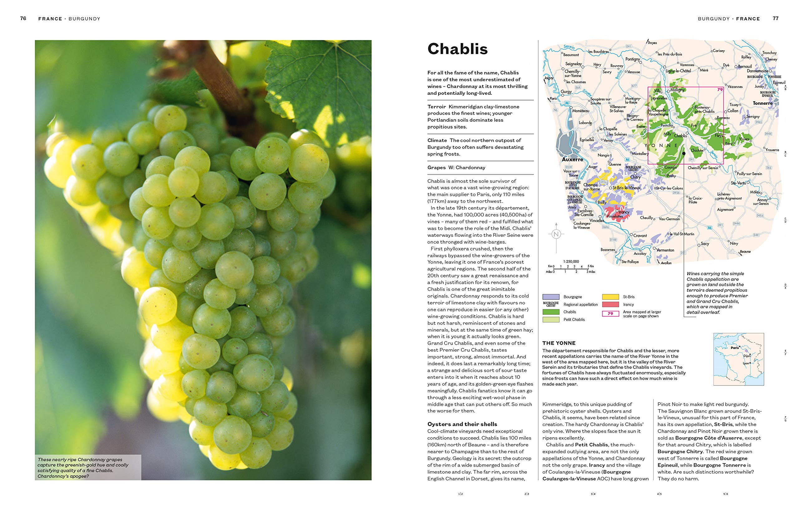 The World Atlas of Wine 8th Edition