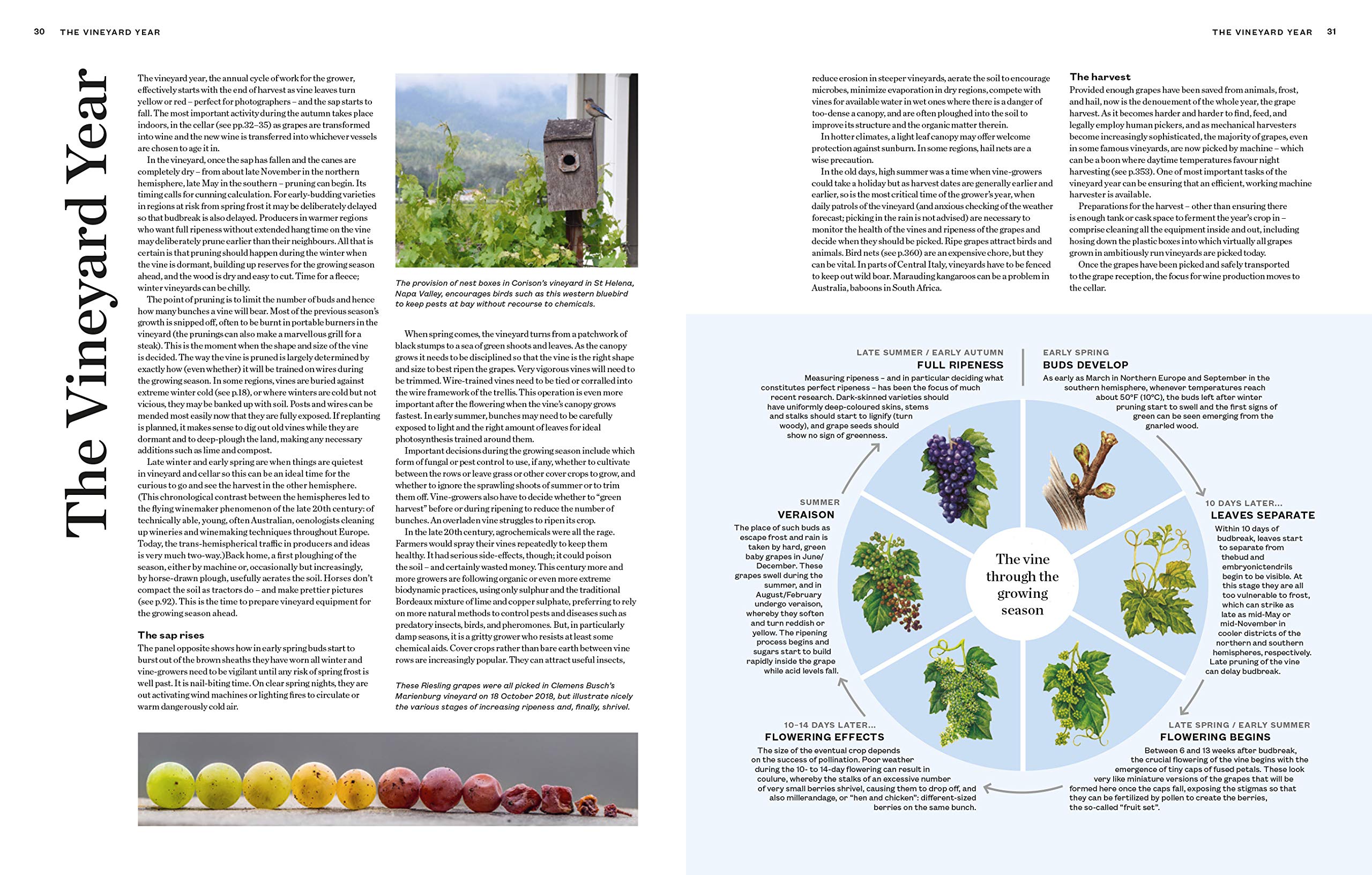 The World Atlas of Wine 8th Edition