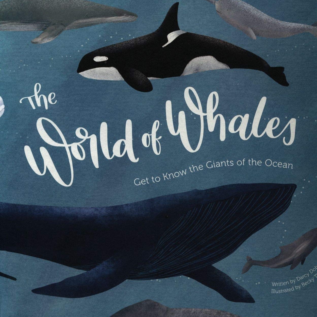 The World of Whales