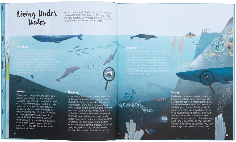 The World of Whales