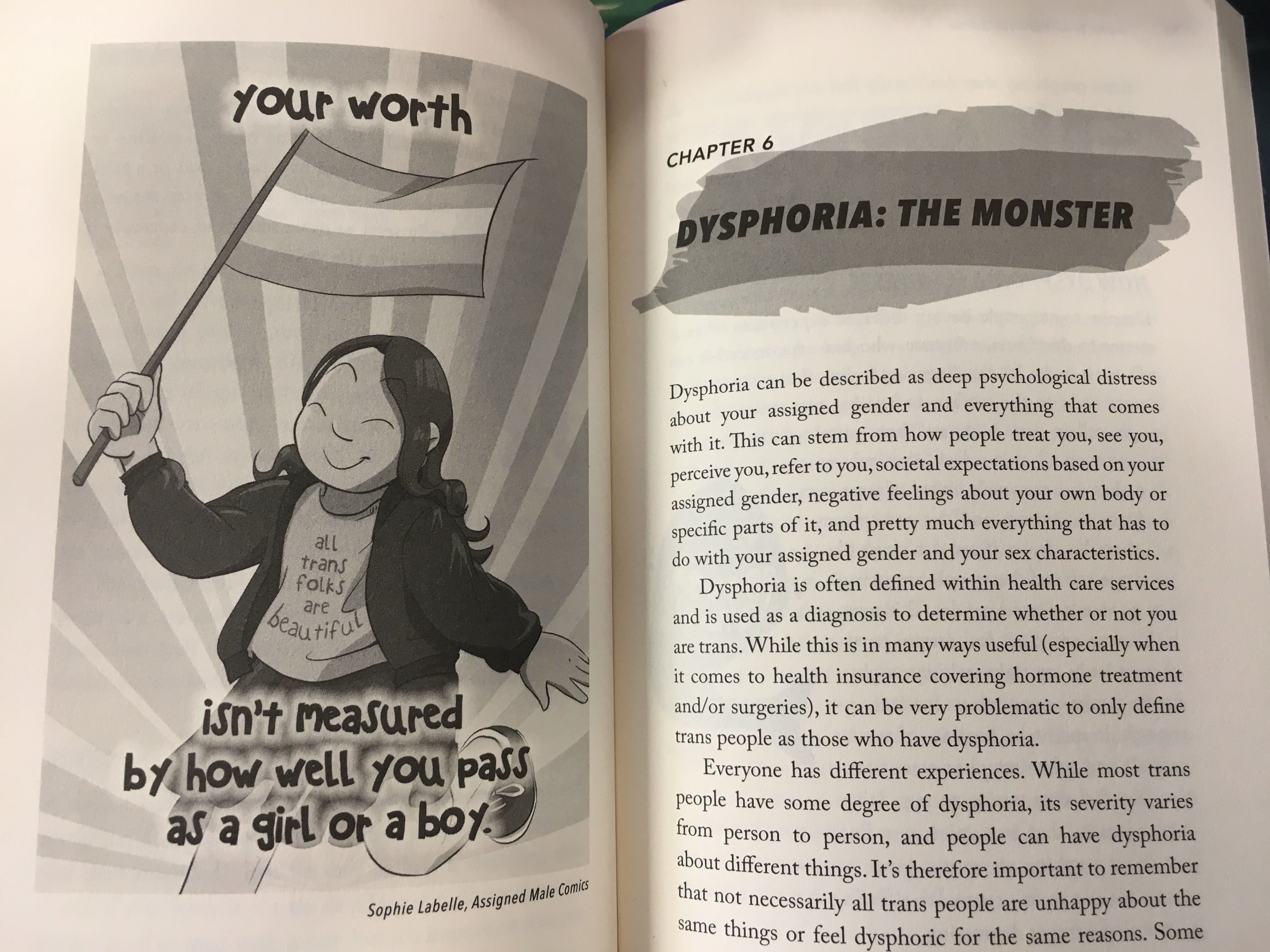 Trans Teen Survival Guide
