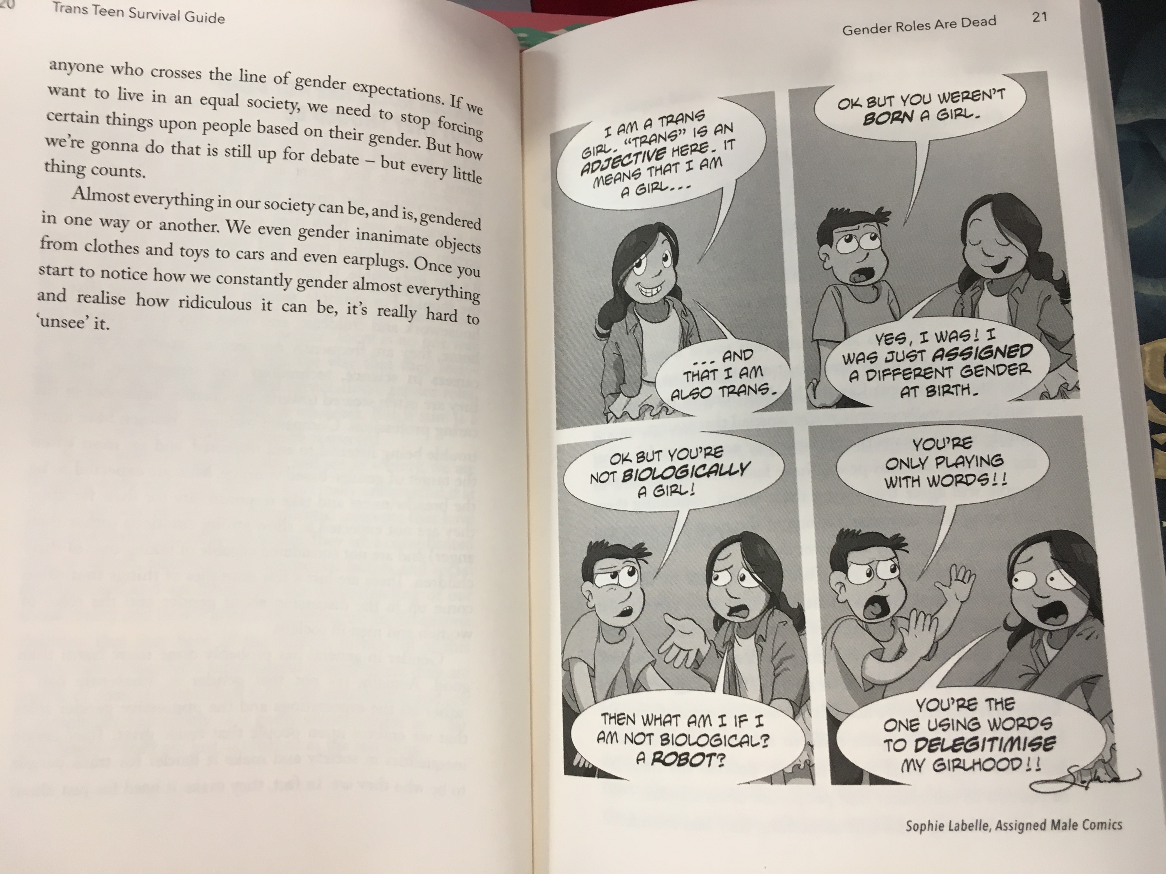 Trans Teen Survival Guide
