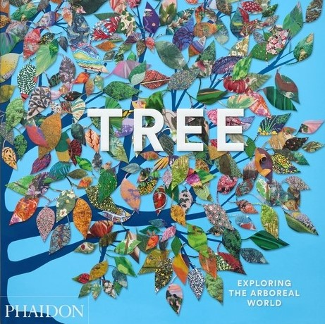 Tree: Exploring the Arboreal World