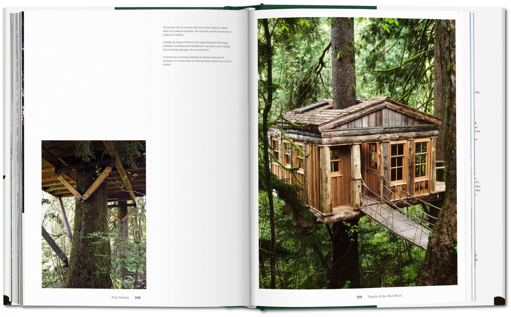 Tree Houses Fairy Tale Castles in the Air