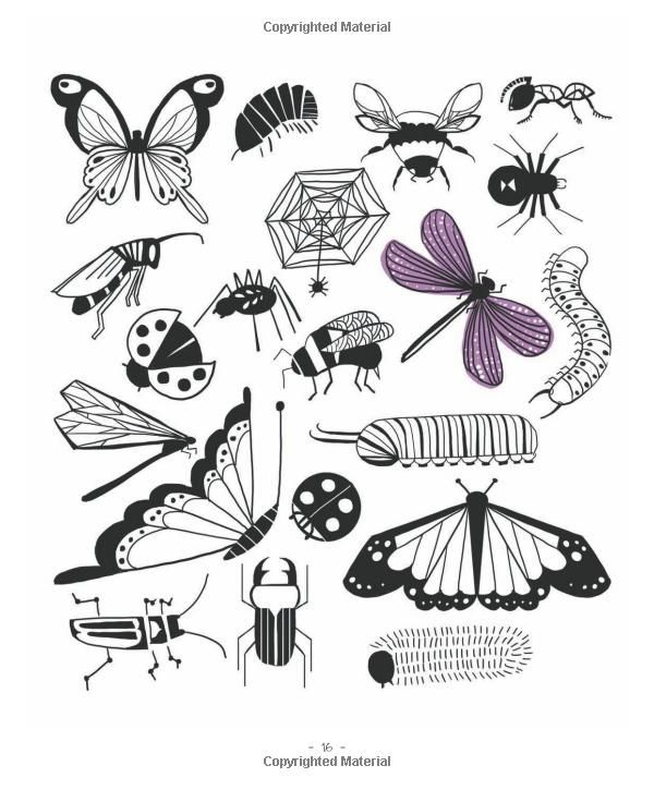 Twenty Ways to Draw a Butterfly