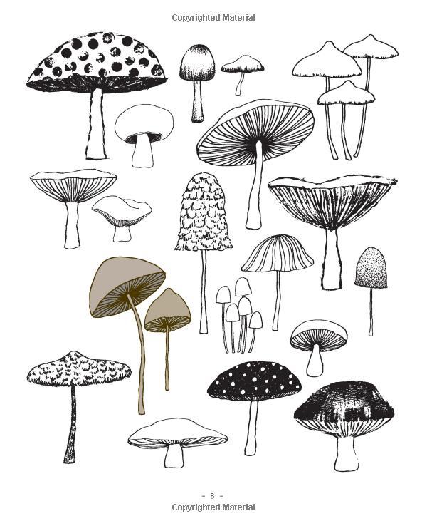 Twenty Ways to Draw Everything