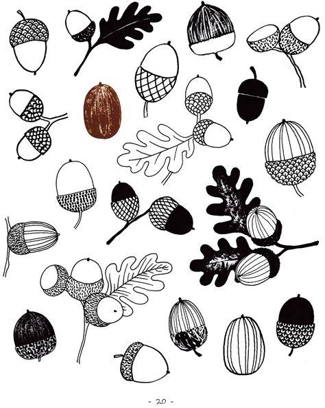 Twenty Ways to Draw Everything