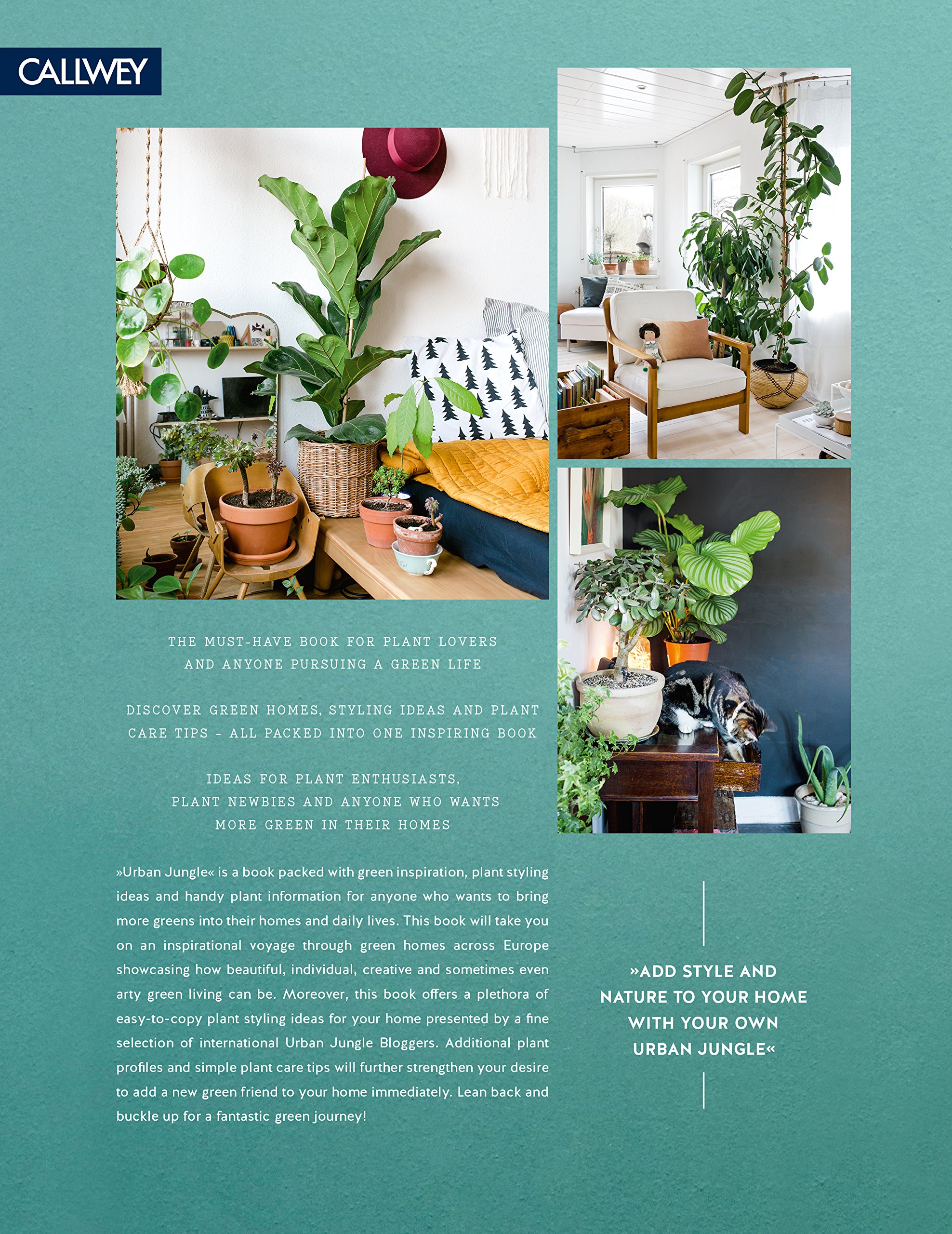 Urban Jungle Living and Styling with Plants