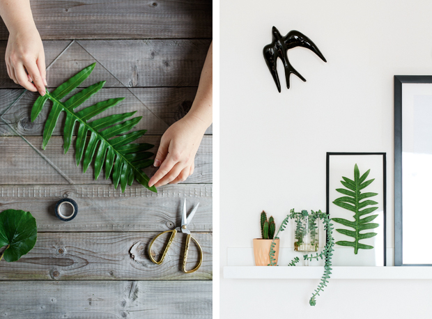 Urban Jungle Living and Styling with Plants