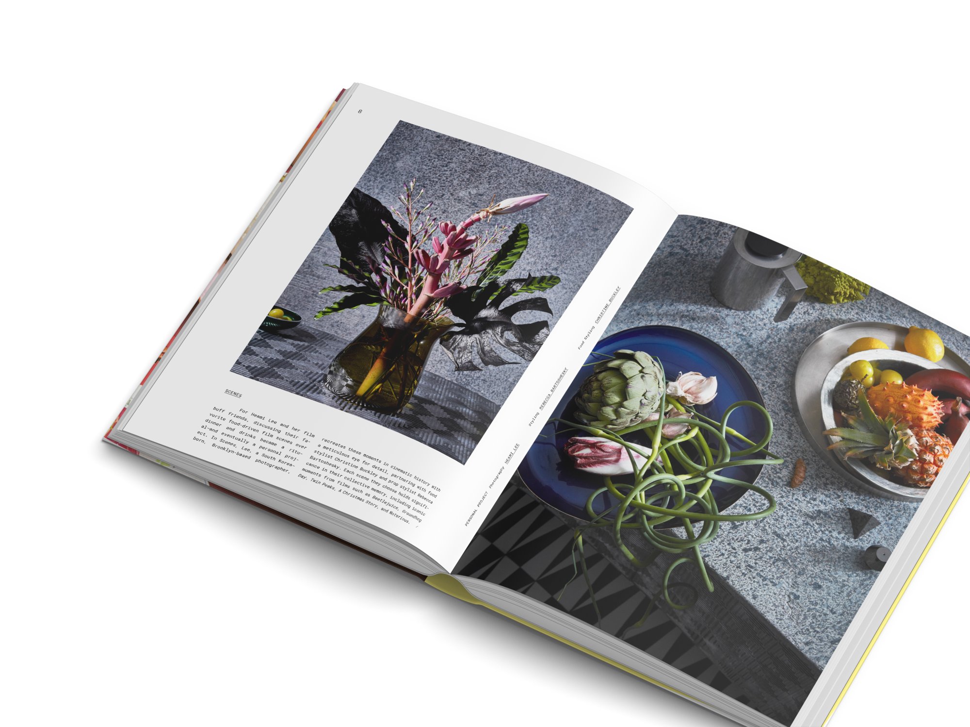Visual Feast Contemporary Food Photography and Styling
