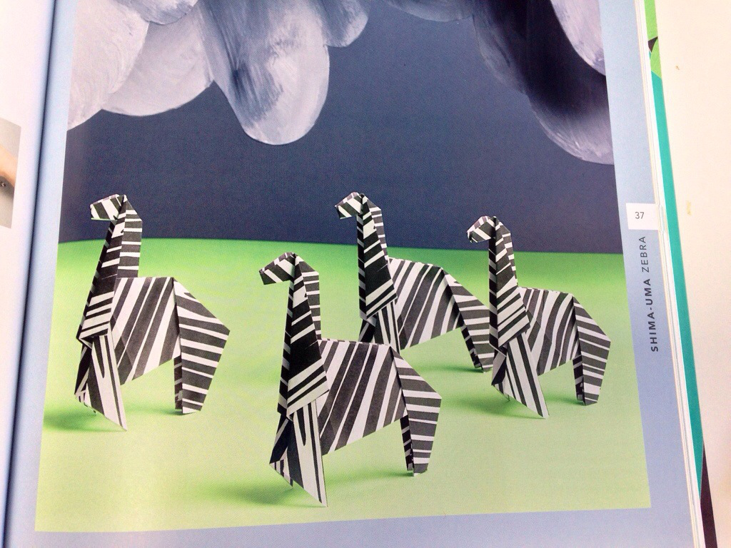 Wild and Wonderful Origami