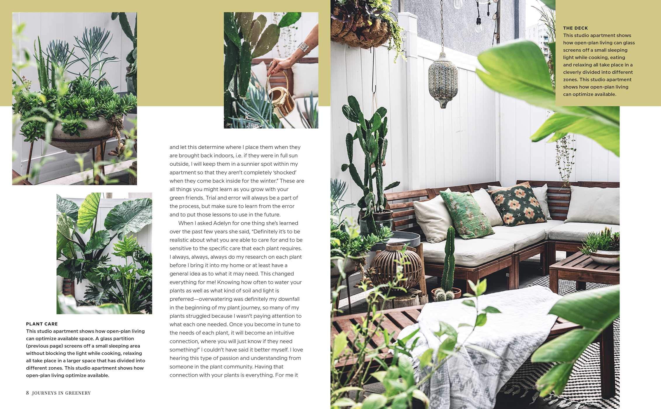 Wild Interiors Beautiful plants in beautiful spaces