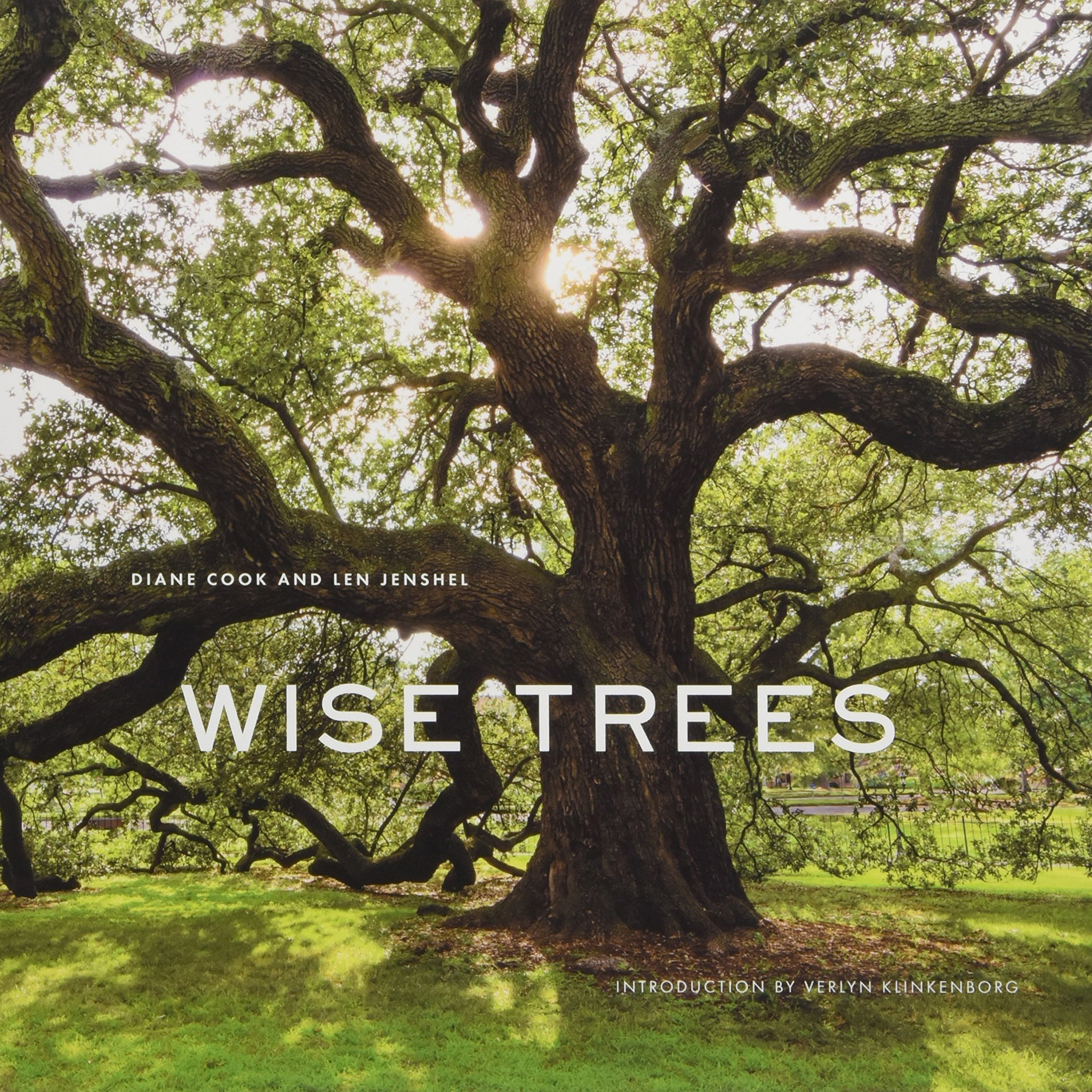 Wise Trees