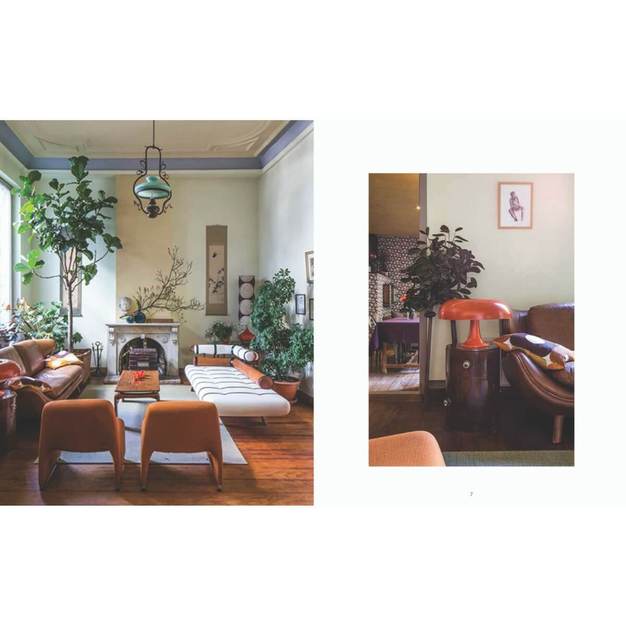 Wonder Plants Your Urban Jungle Interior