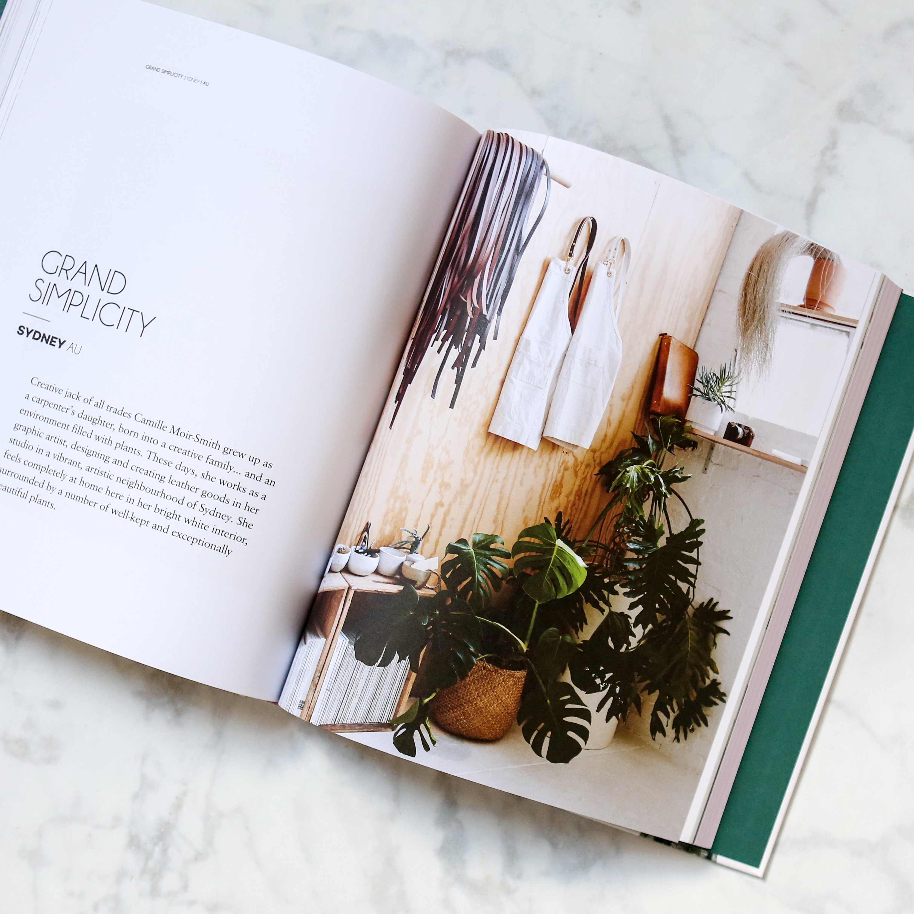 Wonder Plants Your Urban Jungle Interior