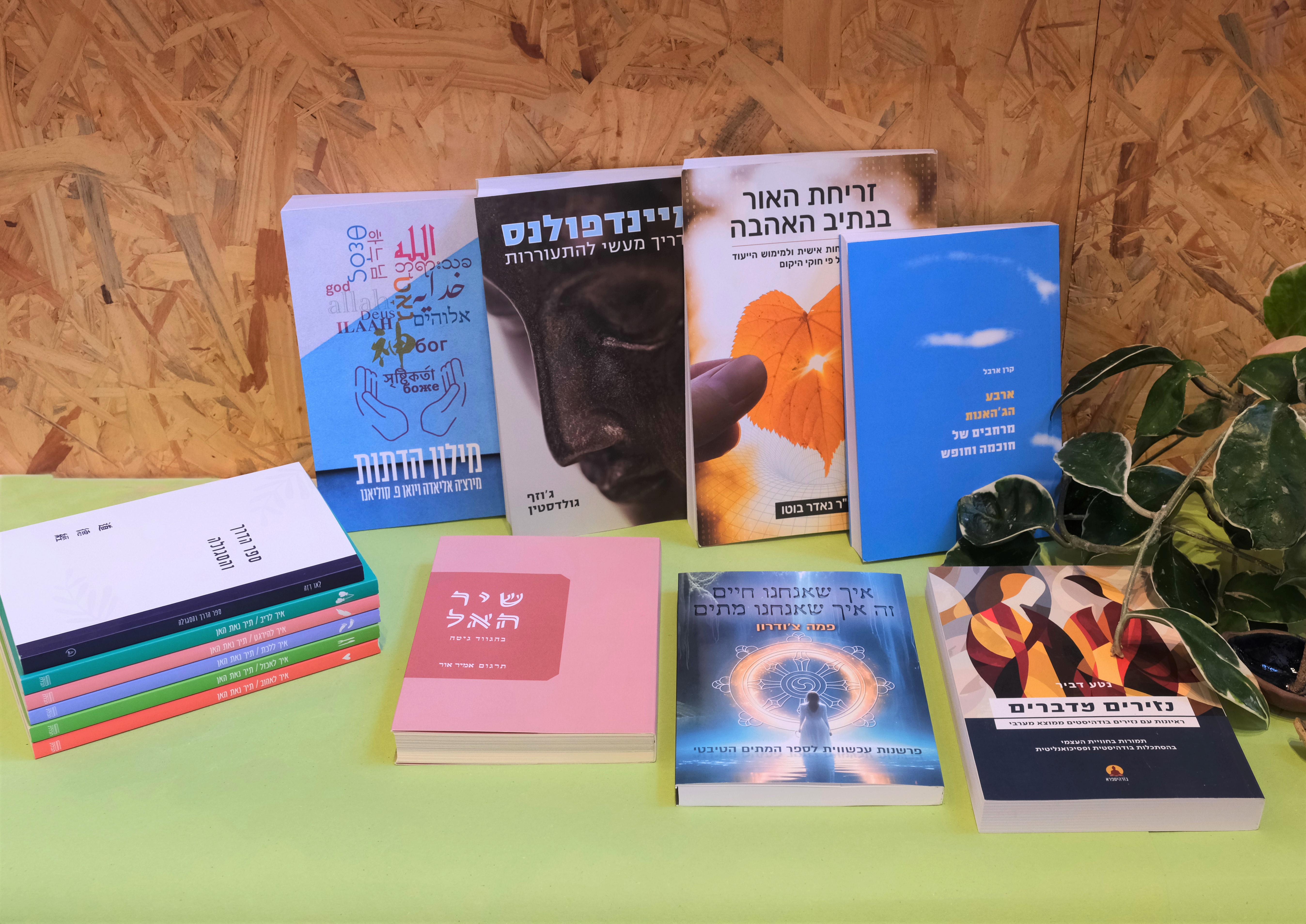 לשנה של ריפוי וחמלה – ספרי מודעות ורוחניות חדשים
