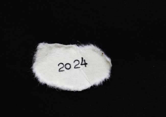 הספרים שאהבתם/ן במיוחד ב-2024