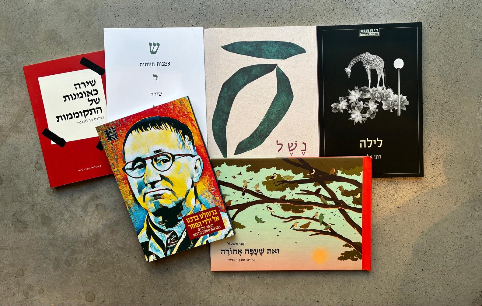 ספרי שירה חדשים - לשנה טובה הרבה יותר