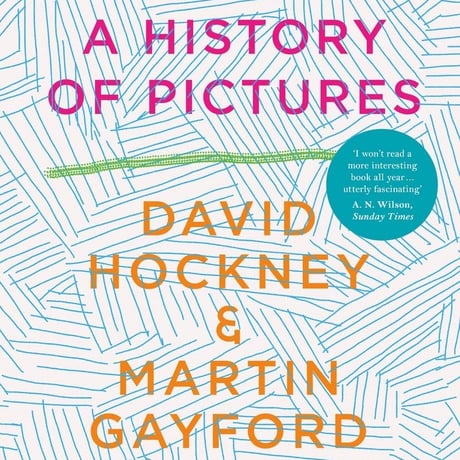 A History of Pictures: From the Cave to the Computer Screen / David ...