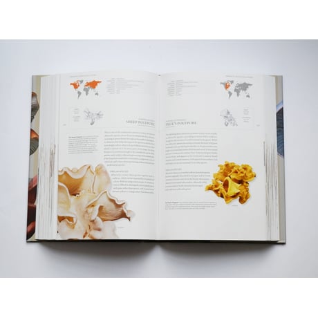 The Book of Fungi: A Life-Size Guide to Six Hundred Species from around ...